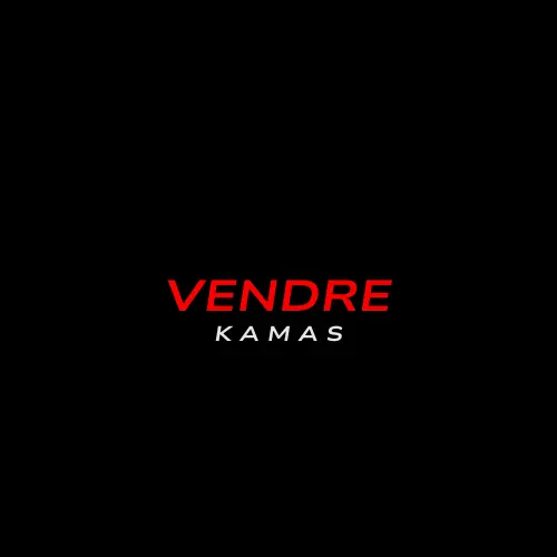 VENDRE KAMAS DOFUS